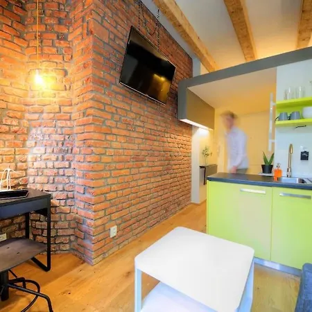 Central Studio - Andel Apartment